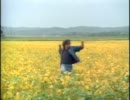 John Cougar Mellencamp - Pink Houses