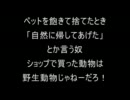 【コピペ】不快に思う他人の行動【２ｃｈ】