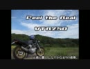 【車載】VTR250だ！この野郎【バイク】