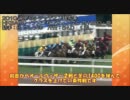 【競馬予想】義臣のセントウルＳ予想2011【全員集合編】