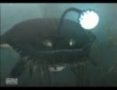 初ナブル！はじめてのモンスターハンター３【19ハントめ】