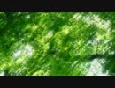 【ニコカラ】 僕の見る世界、君の望む世界 (On Vocal)