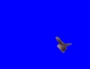 投げふくろうくんBB