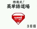 霊夢とフランで魔理沙を脱出させよう！　第八回