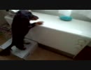 流さんの挑戦１