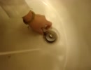 【閲覧注意】排水口の掃除