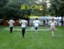 【チーム＊ひまわり】「Ｙｅｌｌｏｗ」を４人で踊ってみた