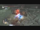 【デモンズソウル】赤石祭りに青で参戦【複数戦】