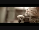 Medal of Honor Cat - YouTube.m4v