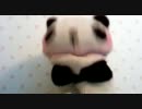 シャッフルパンダンス　Party Rock Anthem