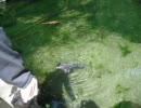 2008.8 出流原弁財天