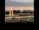 【UTAU】大井　ペルセウス賞【競馬予想】