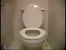 トイレで用を足す（´∀｀人
