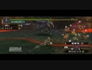 【実況プレイ】ゲーム下手な主によるMHP2ndG　part.18
