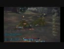 21エレバジソロ