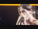 Red Hot Chili Peppers - Live at Summer Sonic 2011