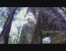 上高地で地球外生命体とコンタクトしてみた。