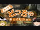 【ゆっくり企画】第１回 どっちのゆっくりショー　第１部 ～開幕～