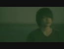 羽根 / BUZZ THE BEARS