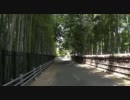 京都・竹林の道を歩いてみた(その2)