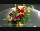 ベッキーのカメラ.mp4