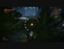 下手糞が足掻くWitcher2 王の暗殺者-日本語版-Part29
