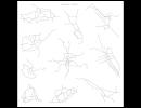 PLUMBLINE - Circle #1
