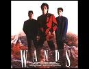 WANDS－この夢だけを･･･