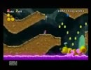 New！スーパーマリオブラザーズ wii【inトマト】 18個目