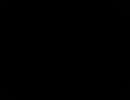 【アカ】THE_BACK_HORN/ガーデン【ペラ】