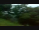 (車窓動画）臨時快速 謙信公祭号その1（妙高高原～関山）