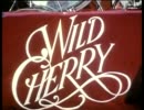 Wild Cherry - Play That Funky Music