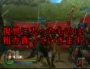 【御試ゆっくり実況】視界に入ったらとりま『火走』part2【戦国BASARA】