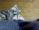 冷蔵庫|ω･｀)｛くさーい！？〕【海】