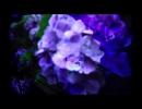 【自作曲】 Monochrome World 【一番だけ】