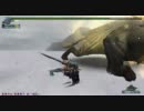 金色の猛者【成長・上】HC　レスタと一緒