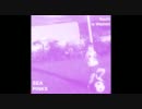 Sea Pinks - Ballad of the Band