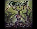 高音質洋楽メタル紹介【284】　Skeletonwitch - The Infernal Resurrection