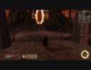 【Oblivion】駆け出しファイターとアドレナリンオブリビオン