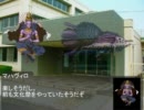 【MUGEN】神キャラが送る学園ストーリーpart7
