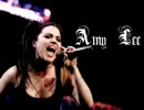 Evanescence - Weight Of The World (live)02