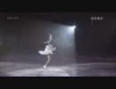 マオシカ (maoshka) THE_ICE 2011