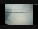 nekou_09.27