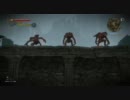 下手糞が足掻くWitcher2 王の暗殺者-日本語版-Part35
