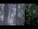 101A / luminous(PV)
