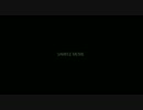 sample.mov