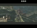 ダークソウル ドラゴンバグ
