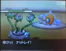 ポケモンBW突発大会7　準決勝決勝BV