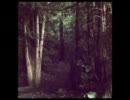 Two Bicycles - In Between
