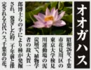 女記者2人が続・絶叫取材【零～zero】最終号